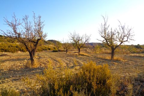 Finca i Maella, Zaragoza, Maella - € 9.500 | Ref: 0678 - foto 10