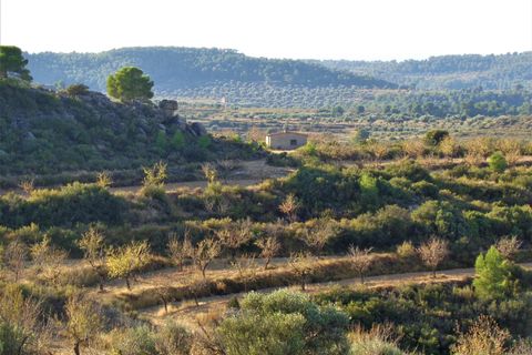 Finca i Maella, Zaragoza, Maella - € 9.500 | Ref: 0678 - foto 14