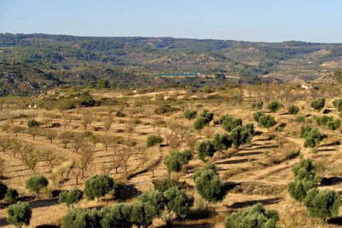 Finca i Maella, Zaragoza, Maella - € 9.500 | Ref: 0678 - foto 1