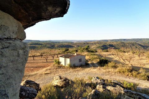 Finca i Maella, Zaragoza, Maella - € 9.500 | Ref: 0678 - foto 15