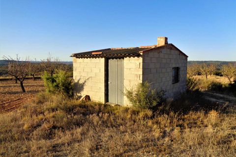 Finca i Maella, Zaragoza, Maella - € 9.500 | Ref: 0678 - foto 6