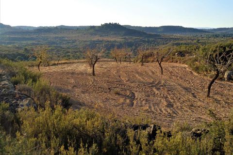 Finca i Maella, Zaragoza, Maella - € 9.500 | Ref: 0678 - foto 12