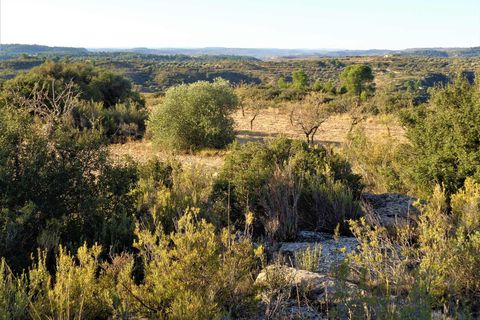 Finca i Maella, Zaragoza, Maella - € 9.500 | Ref: 0678 - foto 11
