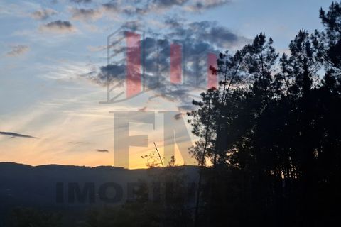 Helårsgrund i Amares, Braga, Amares - € 38.000 | Ref: FM1076 - foto 2