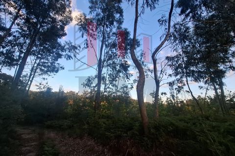 Helårsgrund i Amares, Braga, Amares - € 38.000 | Ref: FM1076 - foto 3