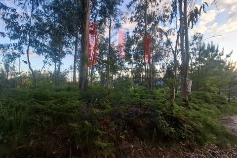 Helårsgrund i Amares, Braga, Amares - € 38.000 | Ref: FM1076 - foto 4