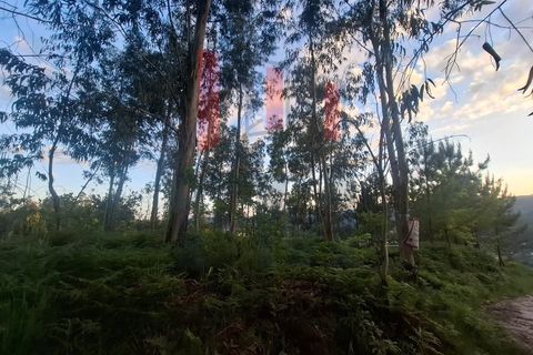 Helårsgrund i Amares, Braga, Amares - € 38.000 | Ref: FM1076 - foto 5