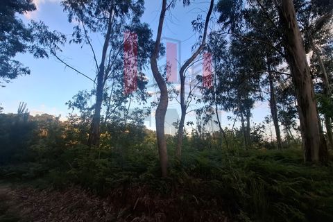 Helårsgrund i Amares, Braga, Amares - € 38.000 | Ref: FM1076 - foto 6