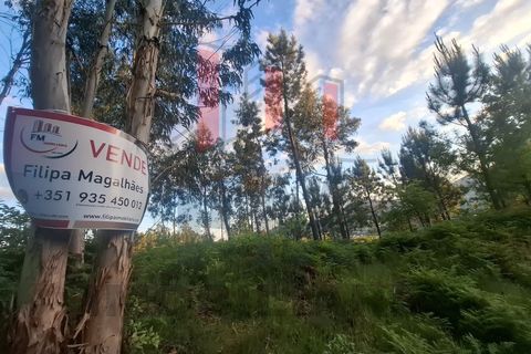 Helårsgrund i Amares, Braga, Amares - € 38.000 | Ref: FM1076 - foto 8