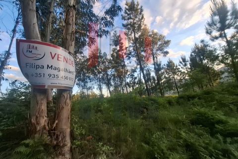 Helårsgrund i Amares, Braga, Amares - € 38.000 | Ref: FM1076 - foto 10