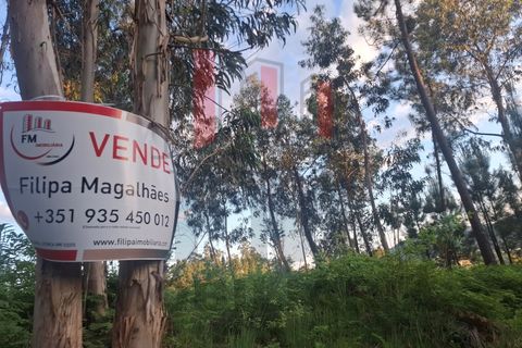Helårsgrund i Amares, Braga, Amares - € 38.000 | Ref: FM1076 - foto 11