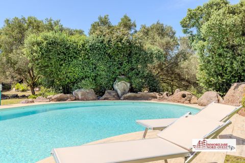 Villa i Carloforte, Sud Sardegna, Carloforte - € 990.000 | Ref: V260.MAF - foto 12