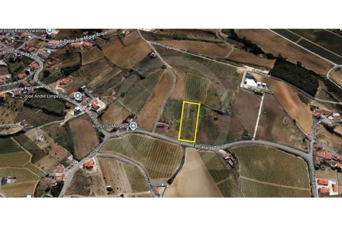 Helårsgrund i Matacaes, Lisbon, Matacaes - € 190.000 | Ref: WH21090-139 - foto 8