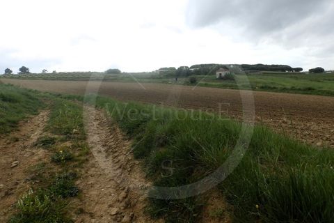 Helårsgrund i Matacaes, Lisbon, Matacaes - € 190.000 | Ref: WH21090-139 - foto 9