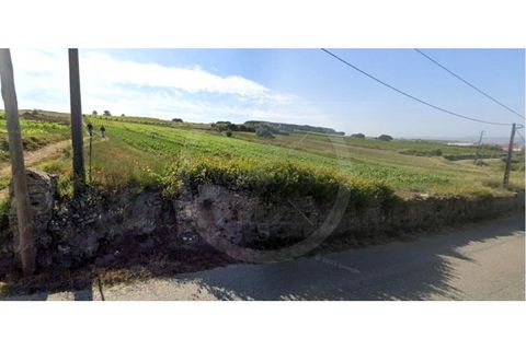 Helårsgrund i Matacaes, Lisbon, Matacaes - € 190.000 | Ref: WH21090-139 - foto 13
