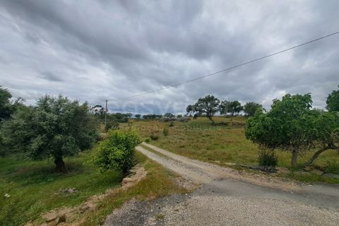 Villa i Ourique, Beja, Ourique - € 120.000 | Ref: BJ97316 - foto 18