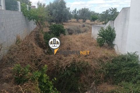 Helårsgrund i Castelo Branco, Castelo Branco, Castelo Branco - € 40.000 | Ref: 2719 - foto 2