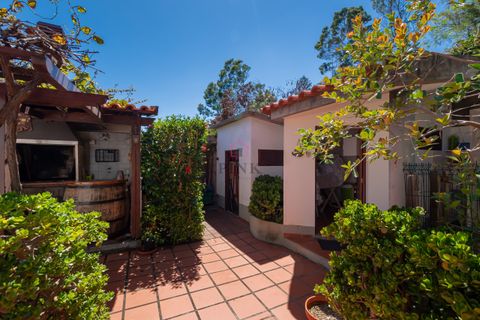 Villa a Machico, Madeira, Machico - € 2.500.000 | Ref: 8803 - foto 8