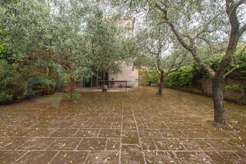 Erhvervsejendom i Colfelice, Frosinone, Colfelice - € 199.000 | Ref: AC99-149-1618 - foto 22