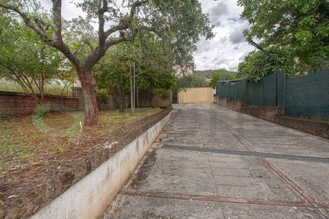 Erhvervsejendom i Colfelice, Frosinone, Colfelice - € 199.000 | Ref: AC99-149-1618 - foto 43