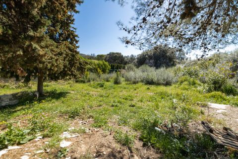 Grundstück in Pollenca, Mallorca, Pollenca - € 325.000 | Ref: POL0543 - Foto 2
