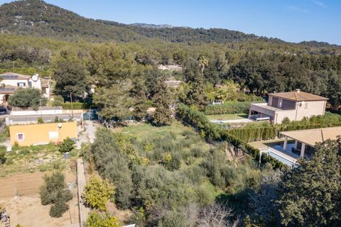 Grundstück in Pollenca, Mallorca, Pollenca - € 325.000 | Ref: POL0543 - Foto 3