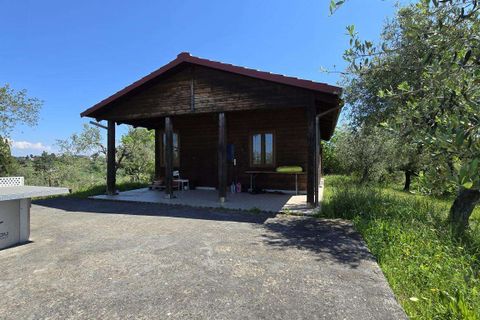 Farm hus i Palaia, Pisa, Palaia - € 710.000 | Ref: C-448-487624 - foto 9