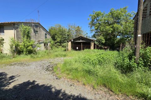 Farm hus i Peccioli, Pisa, Peccioli - € 260.000 | Ref: C-303-487744 - foto 8