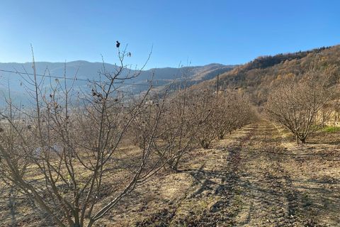 Villa a Gorzegno, Cuneo, Gorzegno - € 440.000 | Ref: D726a.25 - foto 5