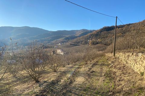 Villa a Gorzegno, Cuneo, Gorzegno - € 440.000 | Ref: D726a.25 - foto 29