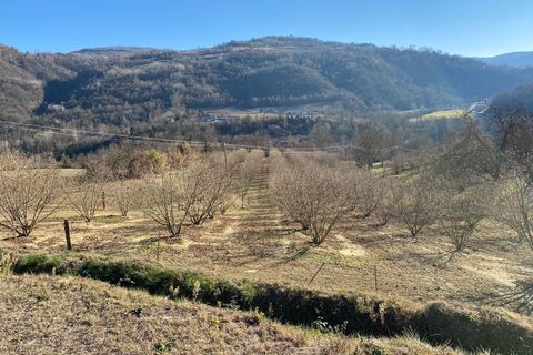 Villa a Gorzegno, Cuneo, Gorzegno - € 440.000 | Ref: D726a.25 - foto 34