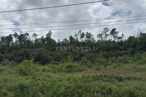Helårsgrund i Alcobaca, Leiria, Alcobaca - € 50.000 | Ref: 0563-01821 - foto 1