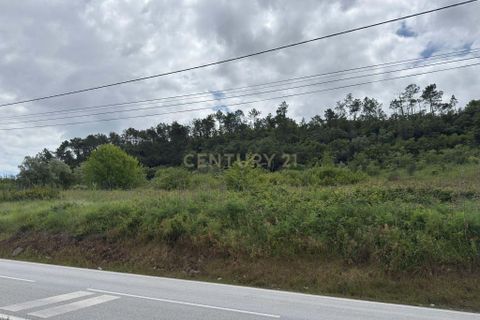 Helårsgrund i Alcobaca, Leiria, Alcobaca - € 50.000 | Ref: 0563-01821 - foto 3