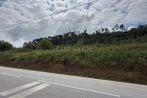 Helårsgrund i Alcobaca, Leiria, Alcobaca - € 50.000 | Ref: 0563-01821 - foto 5