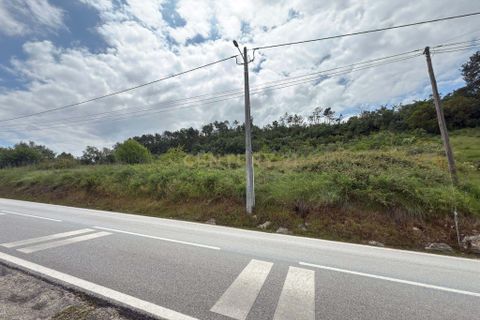 Helårsgrund i Alcobaca, Leiria, Alcobaca - € 50.000 | Ref: 0563-01821 - foto 7
