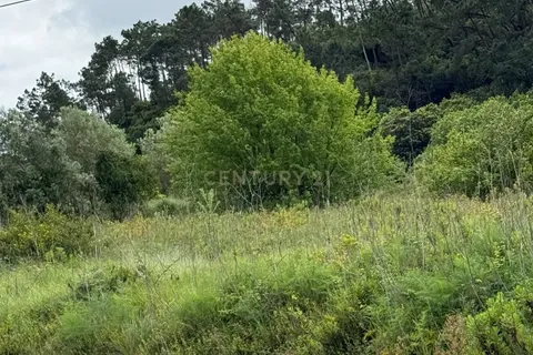 Helårsgrund i Alcobaca, Leiria, Alcobaca - € 50.000 | Ref: 0563-01821 - foto 13