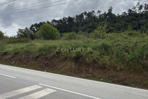 Helårsgrund i Alcobaca, Leiria, Alcobaca - € 50.000 | Ref: 0563-01821 - foto 19