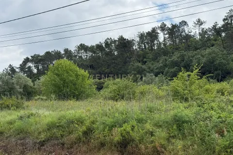 Helårsgrund i Alcobaca, Leiria, Alcobaca - € 50.000 | Ref: 0563-01821 - foto 21