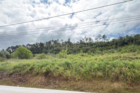 Helårsgrund i Alcobaca, Leiria, Alcobaca - € 50.000 | Ref: 0563-01821 - foto 22