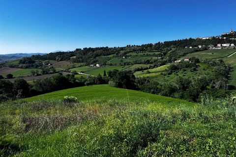 Villa i Montegiorgio, Fermo, Montegiorgio - € 85.000 | Ref: MG2376 - foto 6