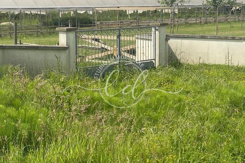 Villa i Camaiore, Lucca, Camaiore - € 600.000 | Ref: 2494 - foto 17