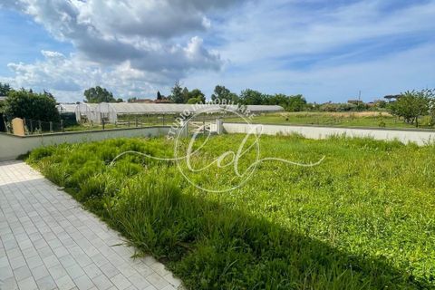 Villa i Camaiore, Lucca, Camaiore - € 600.000 | Ref: 2494 - foto 18