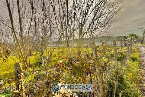 Terra a Sant'Antimo, Naples, Sant'Antimo - € 175.000 | Ref: via pietroluongo - foto 2