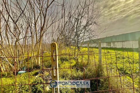 Terra a Sant'Antimo, Naples, Sant'Antimo - € 175.000 | Ref: via pietroluongo - foto 3