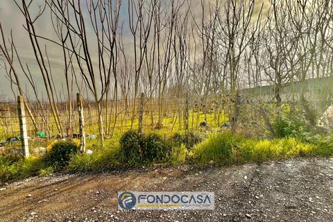 Terra a Sant'Antimo, Naples, Sant'Antimo - € 175.000 | Ref: via pietroluongo - foto 5