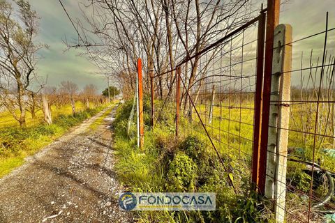 Terra a Sant'Antimo, Naples, Sant'Antimo - € 175.000 | Ref: via pietroluongo - foto 7