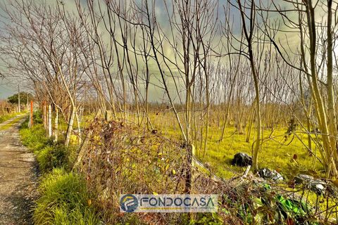 Terra a Sant'Antimo, Naples, Sant'Antimo - € 175.000 | Ref: via pietroluongo - foto 8