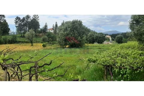 Helårsgrund i Ponte de Lima, Viana do Castelo, Ponte de Lima - € 330.000 | Ref: PTL-1226-RB-0525 - foto 5