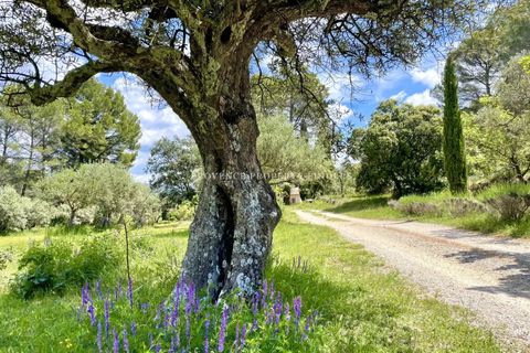 Villa a Salernes, Var, Salernes - € 1.300.000 | Ref: 85946721 - foto 18