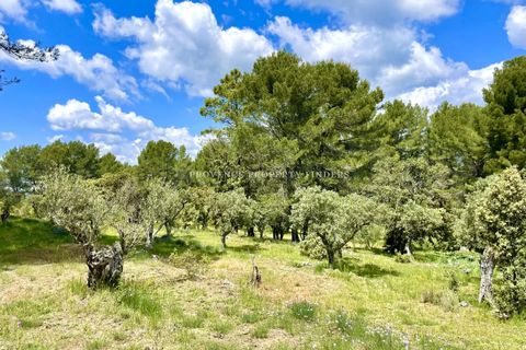 Villa a Salernes, Var, Salernes - € 1.300.000 | Ref: 85946721 - foto 19